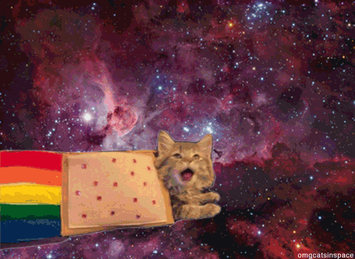 Space Cat